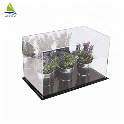 โชว์รูมอะคริลิคสแควร์โมเดิร์นแสดงกล่องเรียบคริลิคสำหรับ houseplant Box