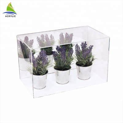 โชว์รูมอะคริลิคสแควร์โมเดิร์นแสดงกล่องเรียบคริลิคสำหรับ houseplant Box